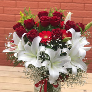 Samimiyet Serisi 4 Gülümseyen Kalp