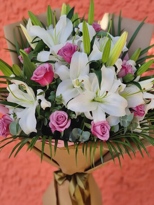 Plus Serisi 1 Bahar Düşleri