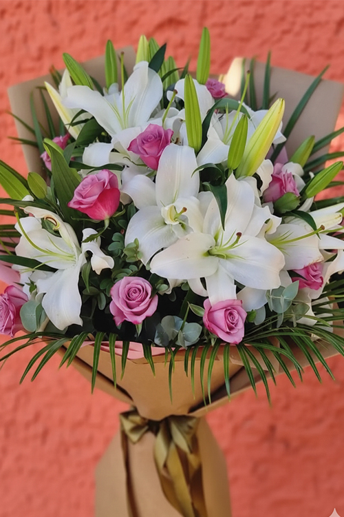 Plus Serisi 1 Bahar Düşleri