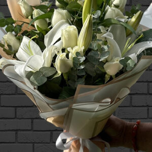 Plus Serisi 4 Masum Melodi