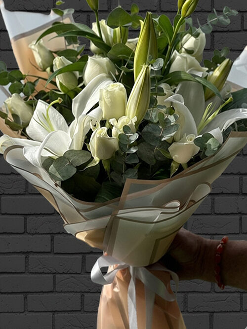 Plus Serisi 4 Masum Melodi