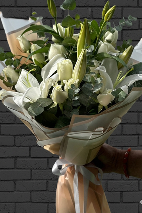 Plus Serisi 4 Masum Melodi