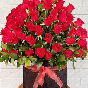 100 Kırmızı Gül Siyah Kutuda