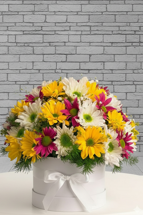 3 Renk Papatya Arajmanı