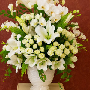 Premium Serisi 1 Kalpten Bahar