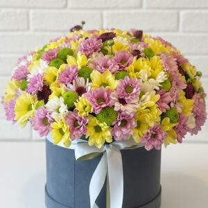 Siyah Kutuda Renkli Papatya Arajmanı