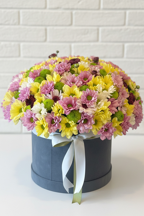 Siyah Kutuda Renkli Papatya Arajmanı