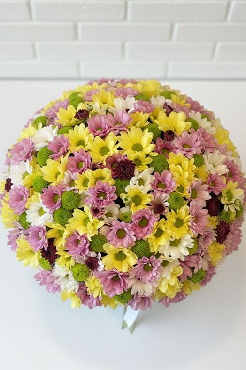 Siyah Kutuda Renkli Papatya Arajmanı