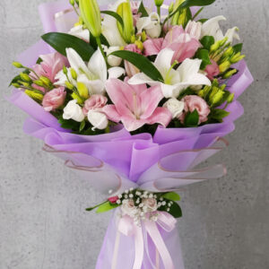 Plus Serisi 2 Bir Yaz Masalı