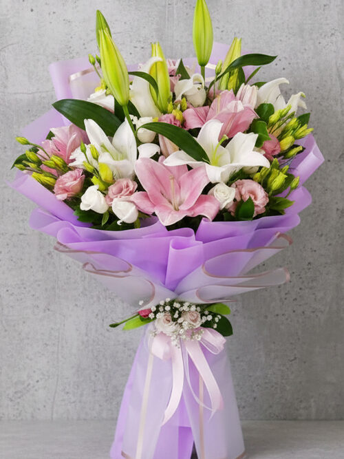 Plus Serisi 2 Bir Yaz Masalı