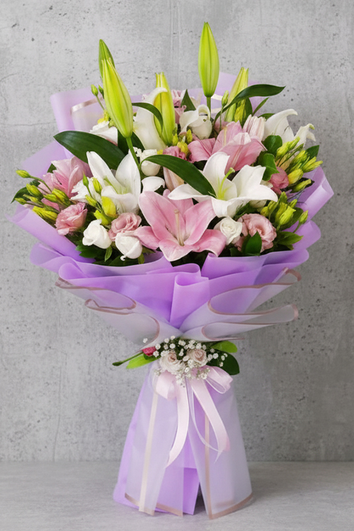 Plus Serisi 2 Bir Yaz Masalı