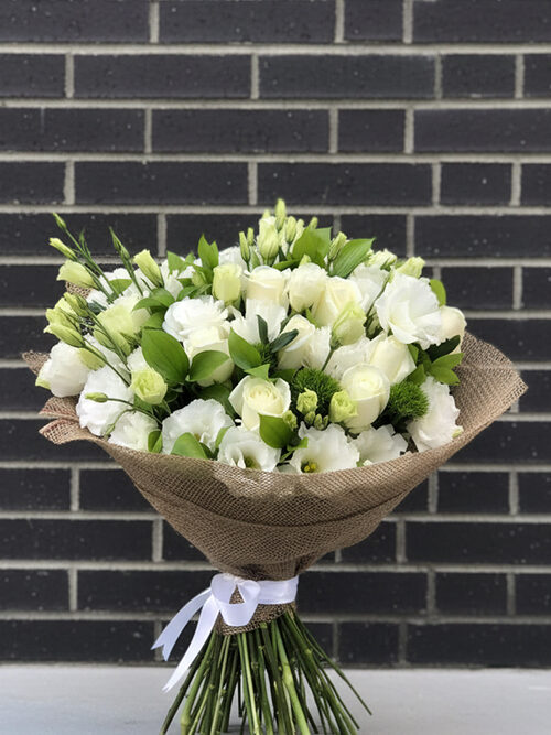 Plus Serisi 3 Sevda Melodisi